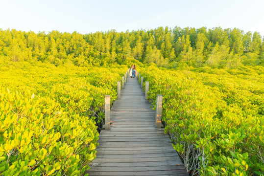 Tung Prong Thong or Golden mangrove field landmarks tourist attraction and beautiful place has all the allure and magic of a nature truly exciting at Klaeng district, Rayong , Thailand