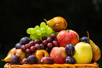 Fruit in the garden - apples, pears, plums and grapes