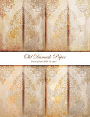 Damask pattern texture Vector. Royal fabric background. Luxury decors copper colors