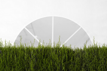 White canopy tent in a garden decorated with some plants and brushes for a event. Empty copy space for Editor's text.