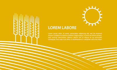 Farmer field and ears of wheat. Linear illustration for banner on a yellow background.