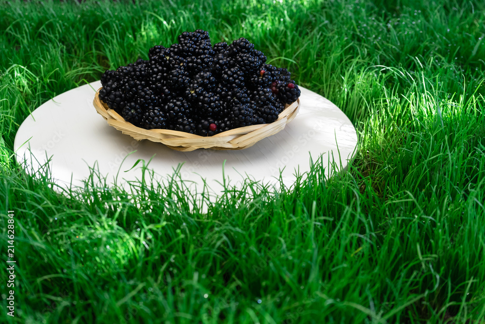 Poster blackberry in backet on a white table grass background