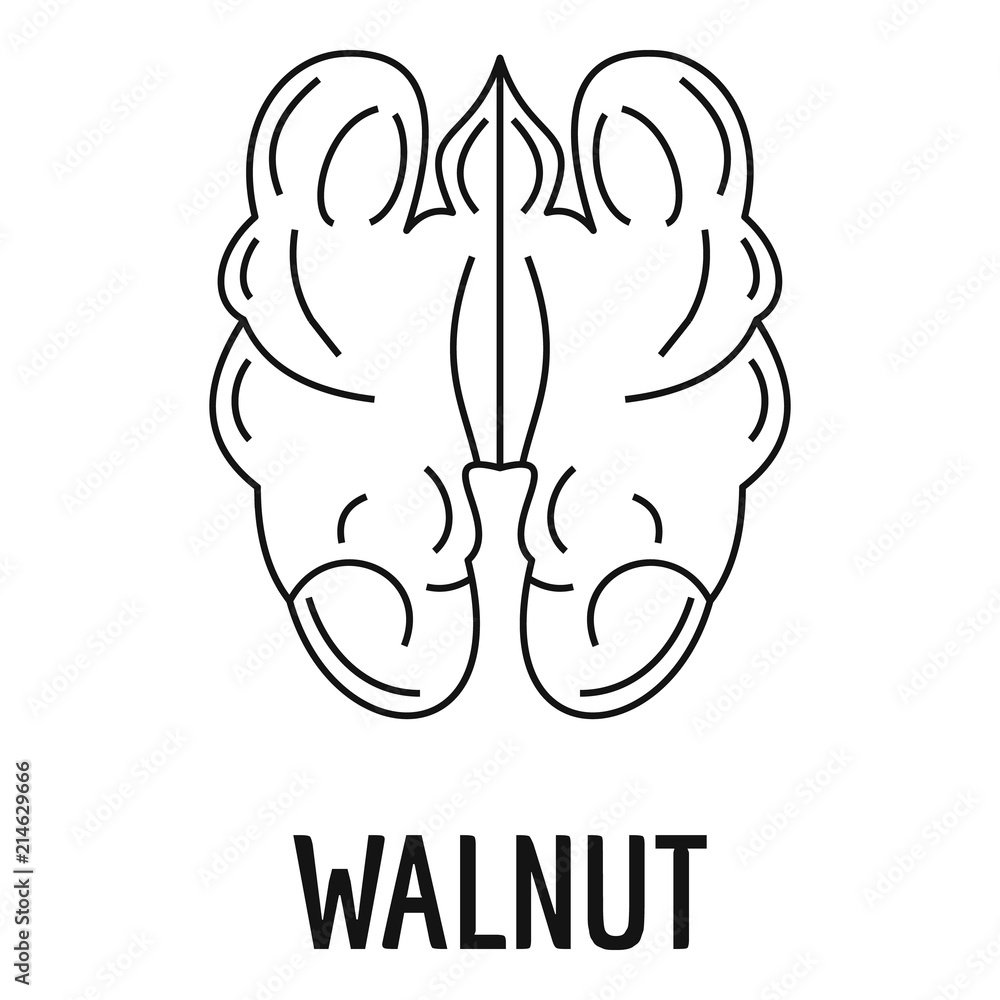Aufkleber walnut icon. outline illustration of walnut vector icon for web design isolated on white background