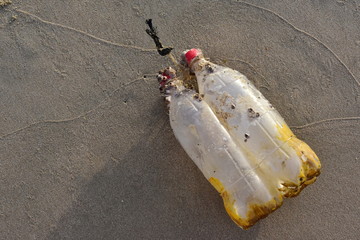 Self-made white plastic bottles buoy a tied to a rope confused network fishing fish on a wet sand  design beach fishing village. Garbage thrown ashore by waves