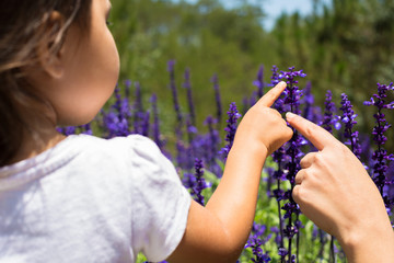 Mother and daughter playing in a flower field. little girl learning about flowers. curious about nature. enjoying the outdoors.