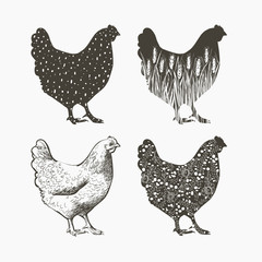Chicken logo. Vector illustration in vintage style