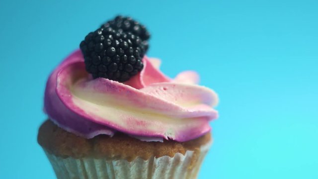 A delicious and appetizing capkake rotates with two blackberries on a blue background.