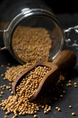 Heap of raw, unprocessed mustard seed kernels in glass jar and wooden scoop on black table