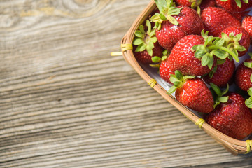 strawberries in the basket