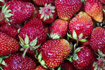 Strawberry as a background, close-up, top view.