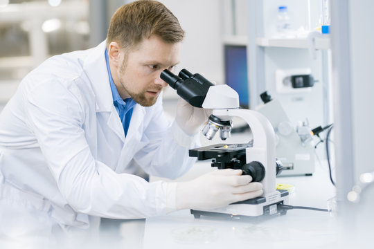 Portrait of young scientist looking in microscope while working on research in medical laboratory