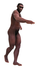 3D Rendering Homo Erectus on White