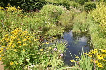 Jardin aquatique