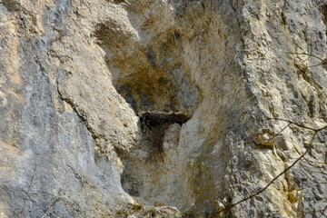 Felswand mit Wanderfalkennest, Schwaebische Alb