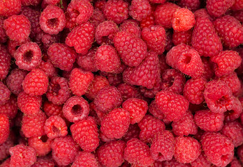 Ripe sweet raspberries close up. Raspberry fresh fruit background