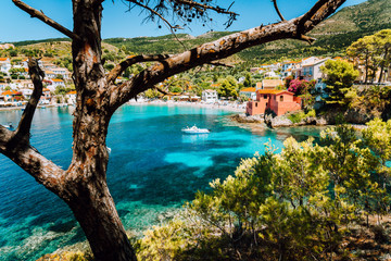 Fototapeta premium View on tourquise transparent bay of mediterranean village Assos framed through green pine grove. Shadow pattern. Kefalonia Greece