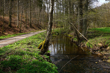 Schaichtal; Naturpark Schoenbuch; Baden Wuerttemberg; Deutschlan