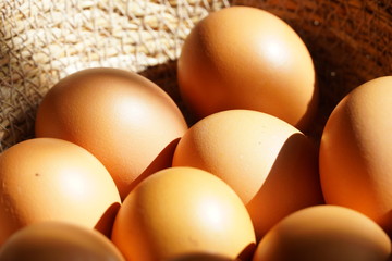 Egg in the basket with sunlight from window.