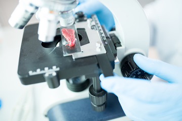 Side view closeup of modern young scientist looking in microscope while doing research on meat in...