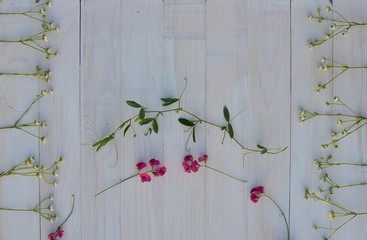 Frame of white wildflowers and pink peas on white wooden planks background. Top view, Flat lay, free space