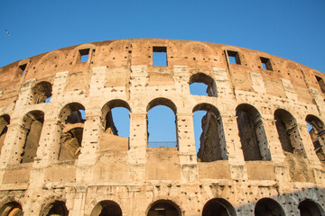Obraz premium The Colosseum in Rome