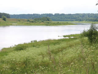 picturesque banks of the river in the summer evening