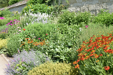 Jardin anglais à Oxford, Angleterre