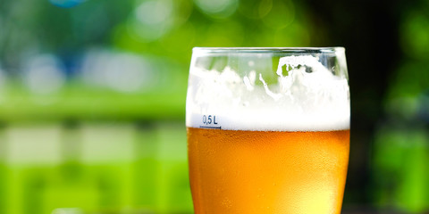 Beer in a glass glass glass, bubbles rise. On the background of green foliage glass with Golden drops.