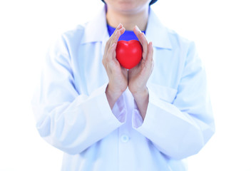 Cardiologist holding heart in hand, heart care concept, white background
