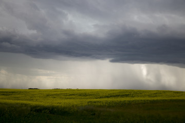 Naklejka na ściany i meble Prairie Storm Clouds
