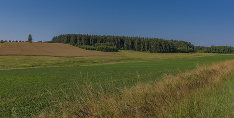 Morning in summer Bohemia with fields