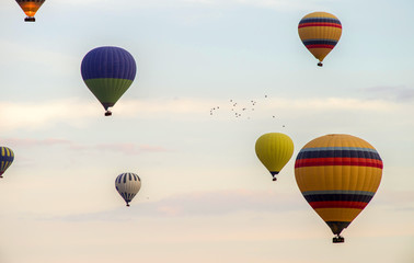 A flock of birds flying in the sky among the colorful hot air balloons.