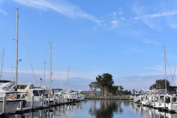 Marina Landscape #11