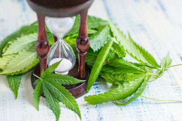Marijuana and time. Leaves of marijuana and an hourglass on a wooden background.