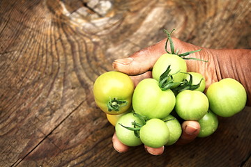 Green and red tomatoes on a wooden table