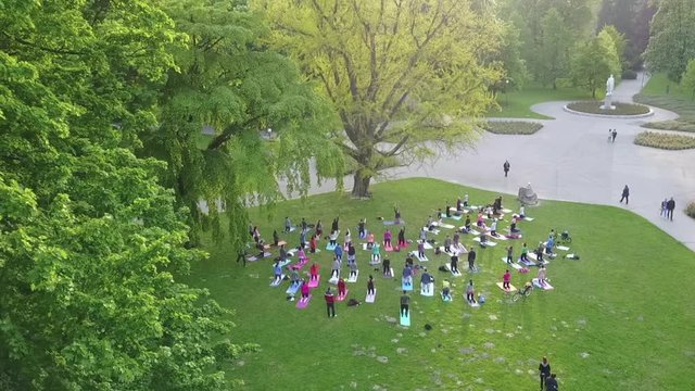 Yoga Group at Park