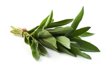 Fototapeta premium Green bunch of sage, isolated on white background.