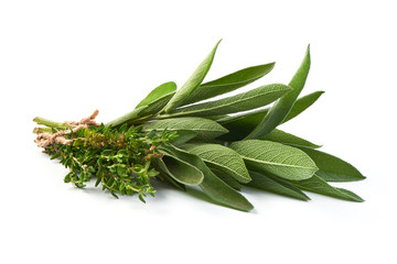 Bunch of sage and thyme, isolated on white background.
