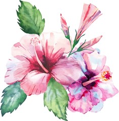 Bright green herbal tropical wonderful hawaii floral summer pattern tropic pink red violet blue flowers hibiscus watercolor hand illustration. Perfect for greetings card, textile, wallpapers
