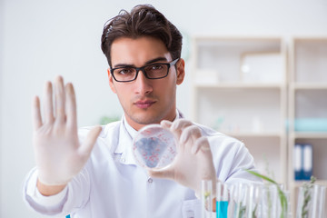 Biotechnology scientist chemist working in lab