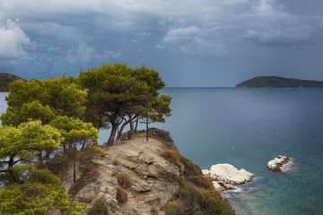 Panoramic rocky coastline with Old Pine Trees