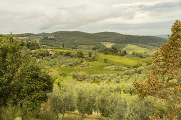 Rural farmland and vineyard in Panzano, Tuscany, Italy