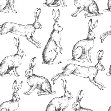 jumping hare drawing
