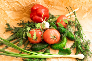 Arrangement  on the wrapping paper of a assortment of fresh vegetables, red pepper, garlic, green onions, tomatoes, cucumbers