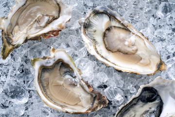 Fresh opened oyster offered as top view on crushed ice