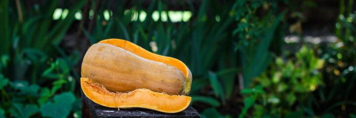 pumpkin - to prepare orange a fruit. food background