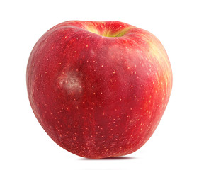 Fresh red apple isolated on white background with clipping path