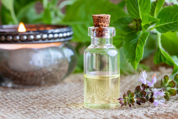 A bottle of tulsi essential oil with fresh tulsi, or holy basil