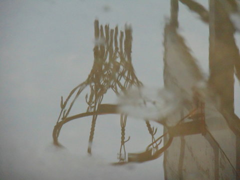Juego reflejado