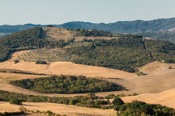 Fototapeta na wymiar panorama d'un payage sauvage de toscane
